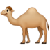 Camel :camel: