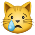 Crying Cat :crying-cat: