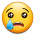 Crying Face :crying-face: