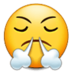 :face-with-steam-from-nose: