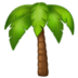 :palm-tree: