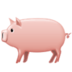 Pig :pig: