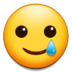 Smiling Face with Tear :smiling-face-with-tear:
