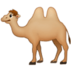 Two Hump Camel :two-hump-camel: